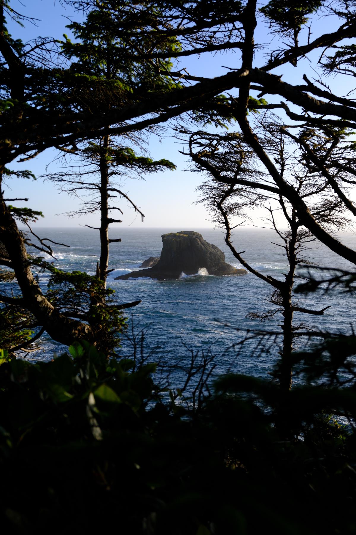 pnw-07.jpg