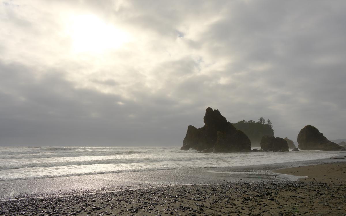 pnw-08.jpg