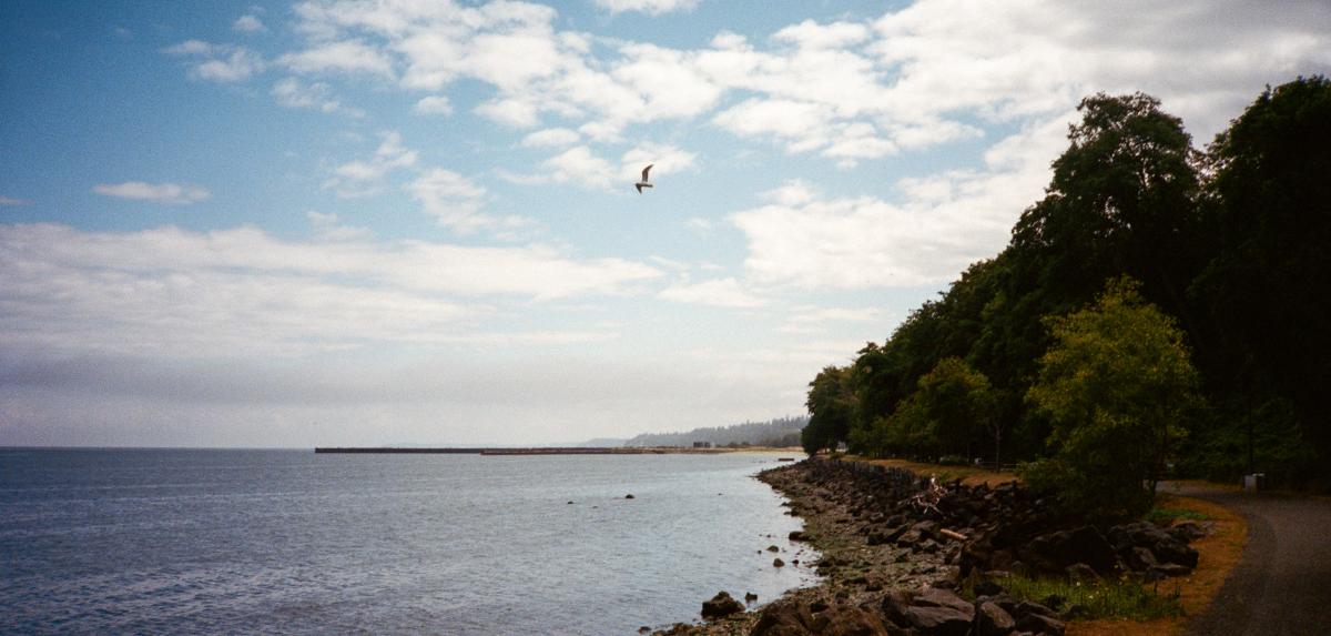 pnw-10.jpg