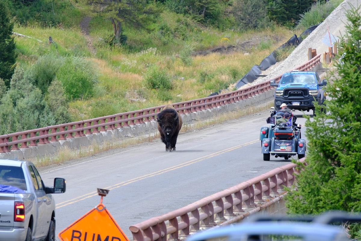 yellowstone-12.jpg